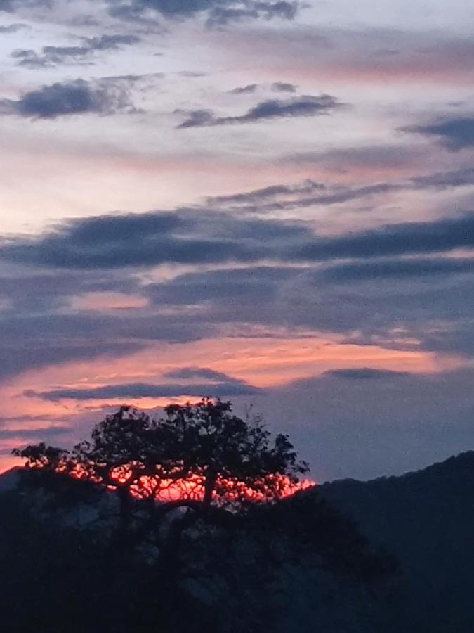 Chateau De Tatli - Hilltop - Dehradun Eksteriør bilde
