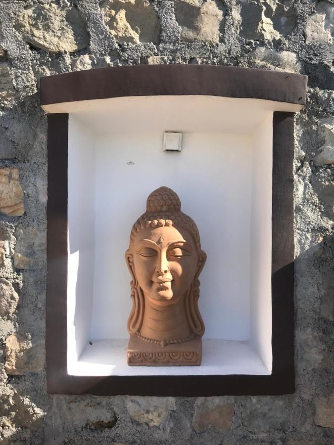 Chateau De Tatli - Hilltop - Dehradun Eksteriør bilde